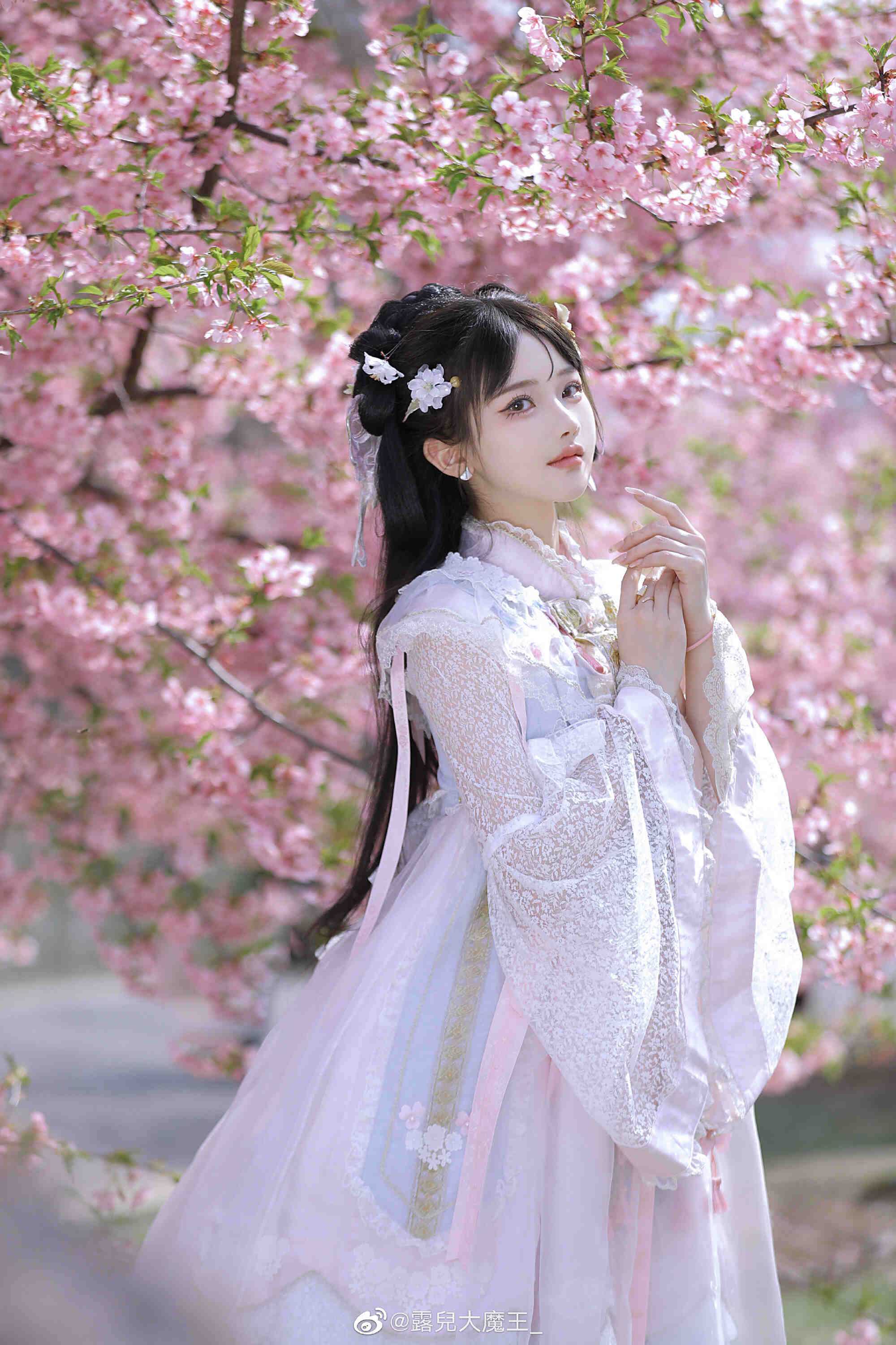 我们不是春日限定，我们是来日方长